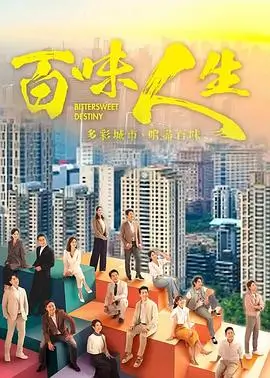 暗夜追光 电视剧 2024